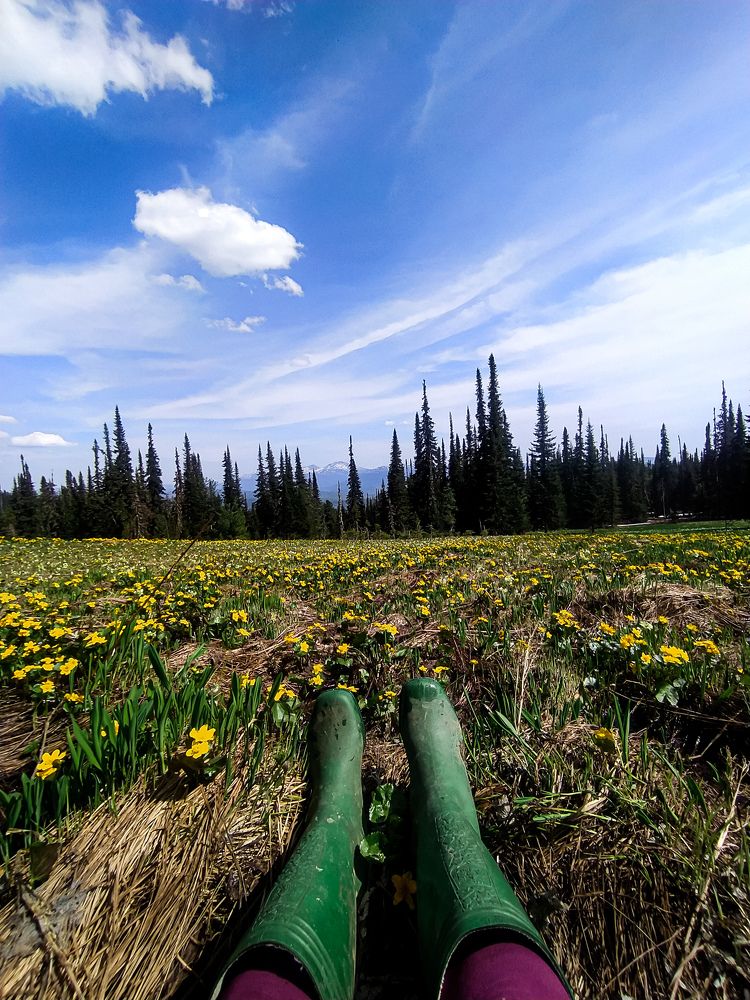 Photograph by Elena Kilina