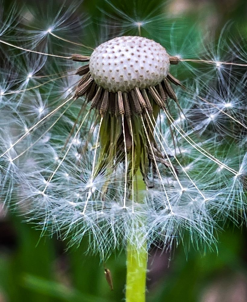 Фотография автора Рамзия Хисамутдинова