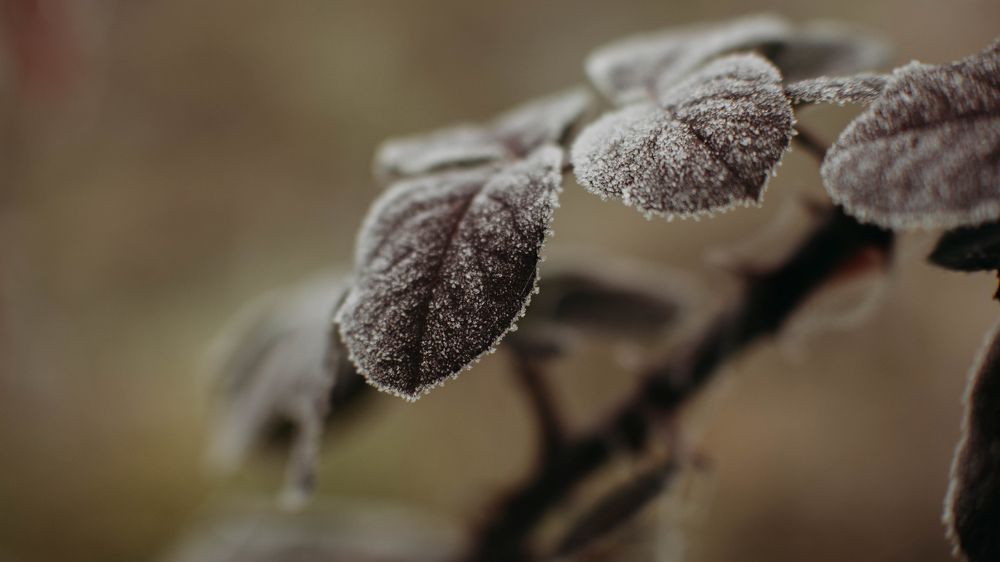 Photograph by Анна Муковозова