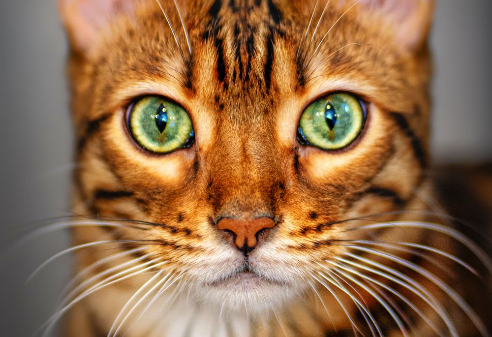 Photograph by Катерина Ковач