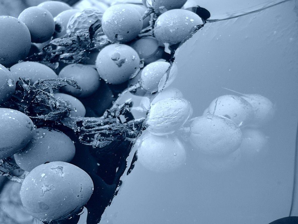 Photograph by Дмитрий Соколов