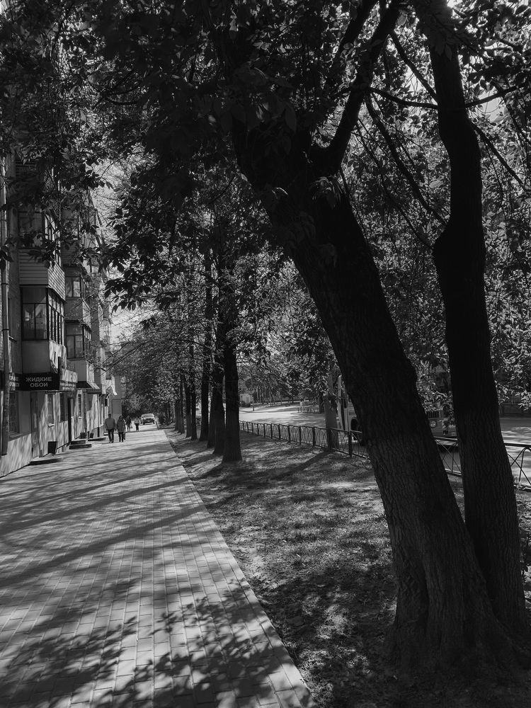 Photograph by Юлия Чиклеева
