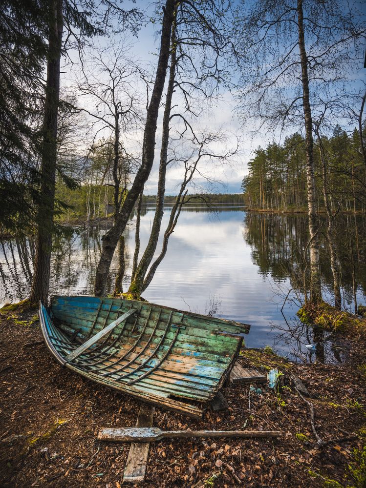 Photograph by Александр Устинов