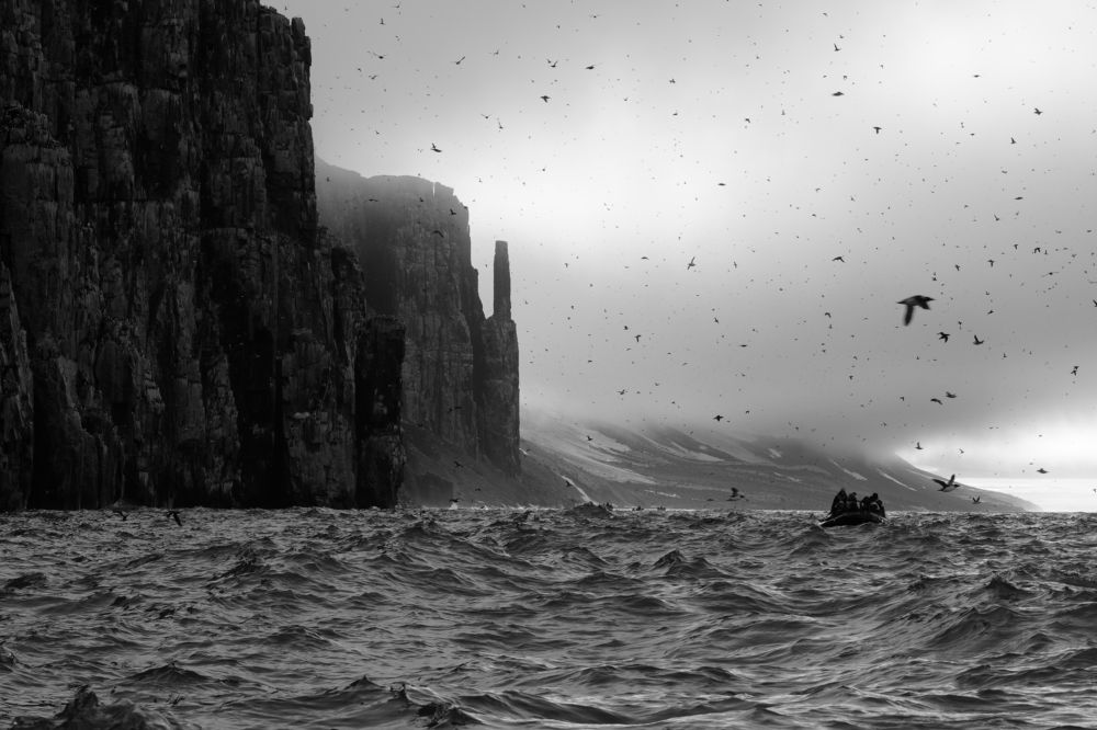 Photograph by Александр Чегодаев