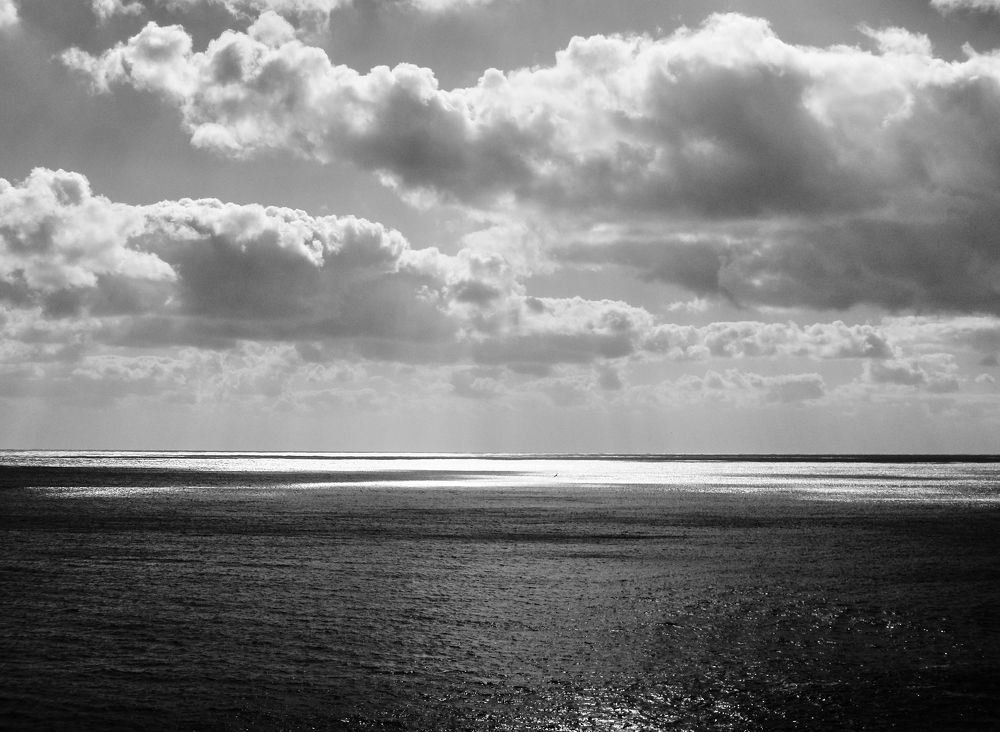 Photo #7655087