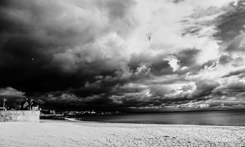 Photo #7655090