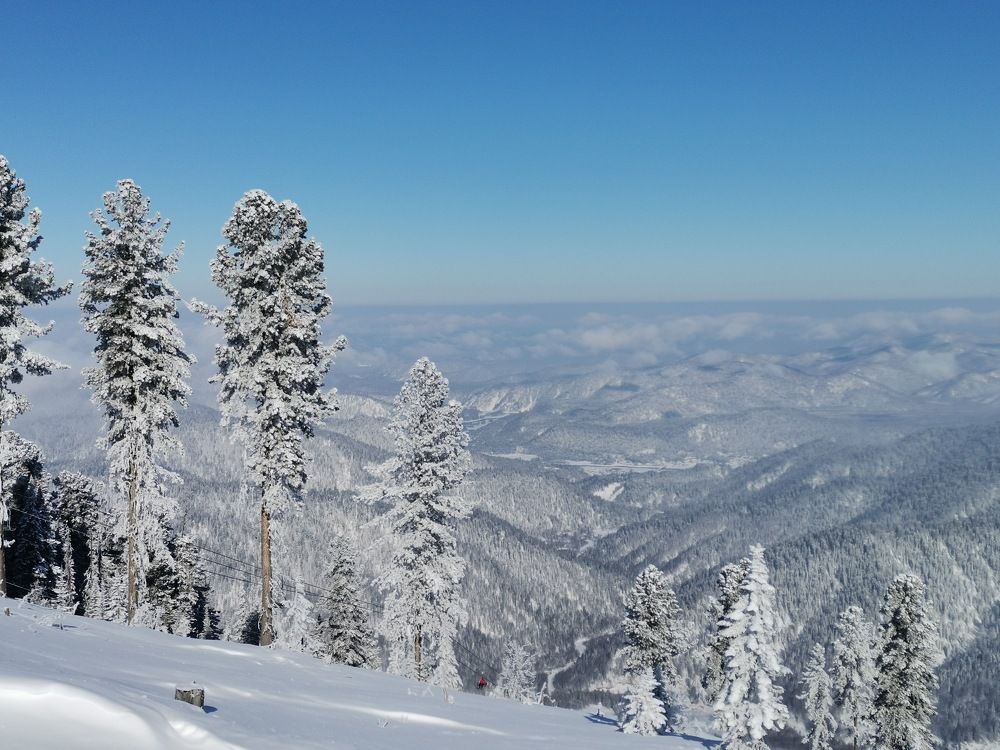 Photograph by Елена Павлова