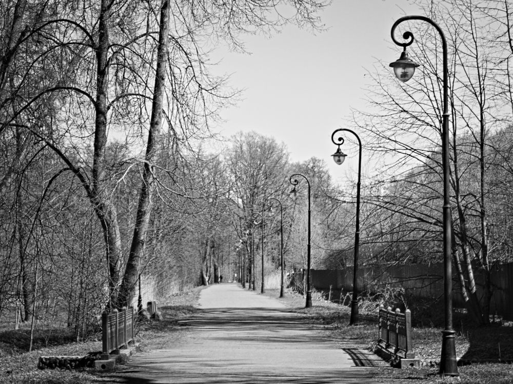 Фотография автора Александр