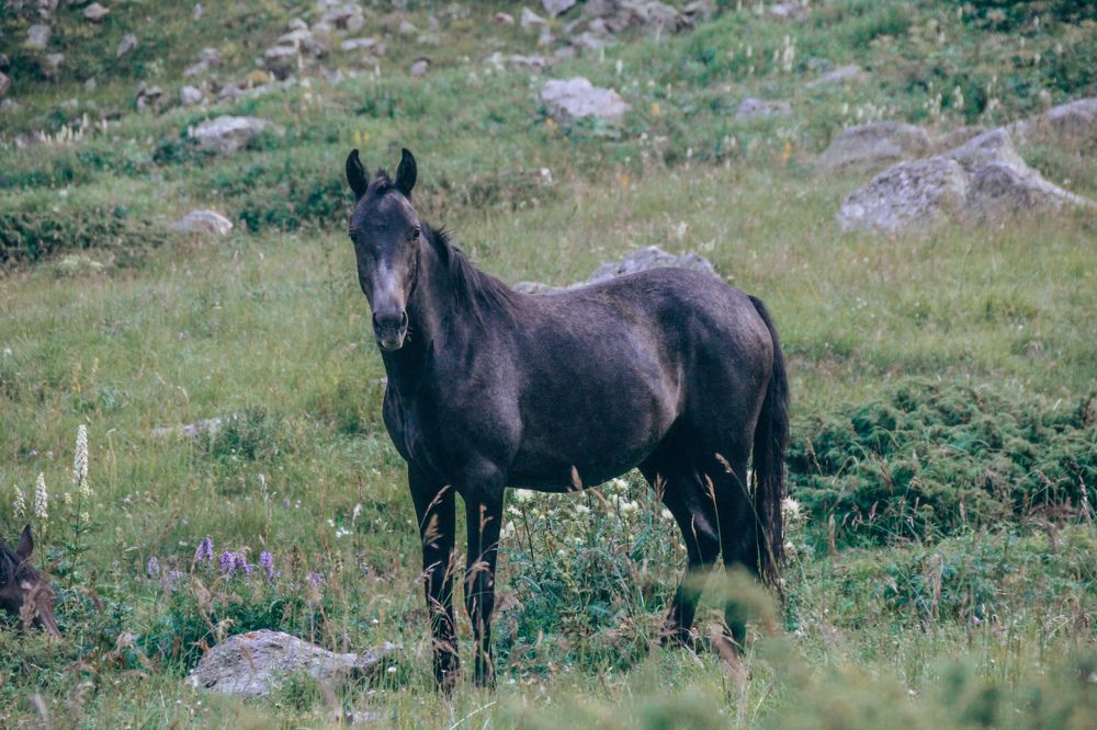 Фотография автора OXANA MARSOVA