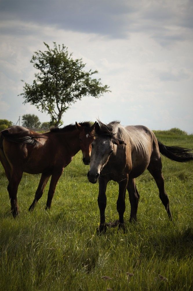 Photograph by Ирина Фатеева