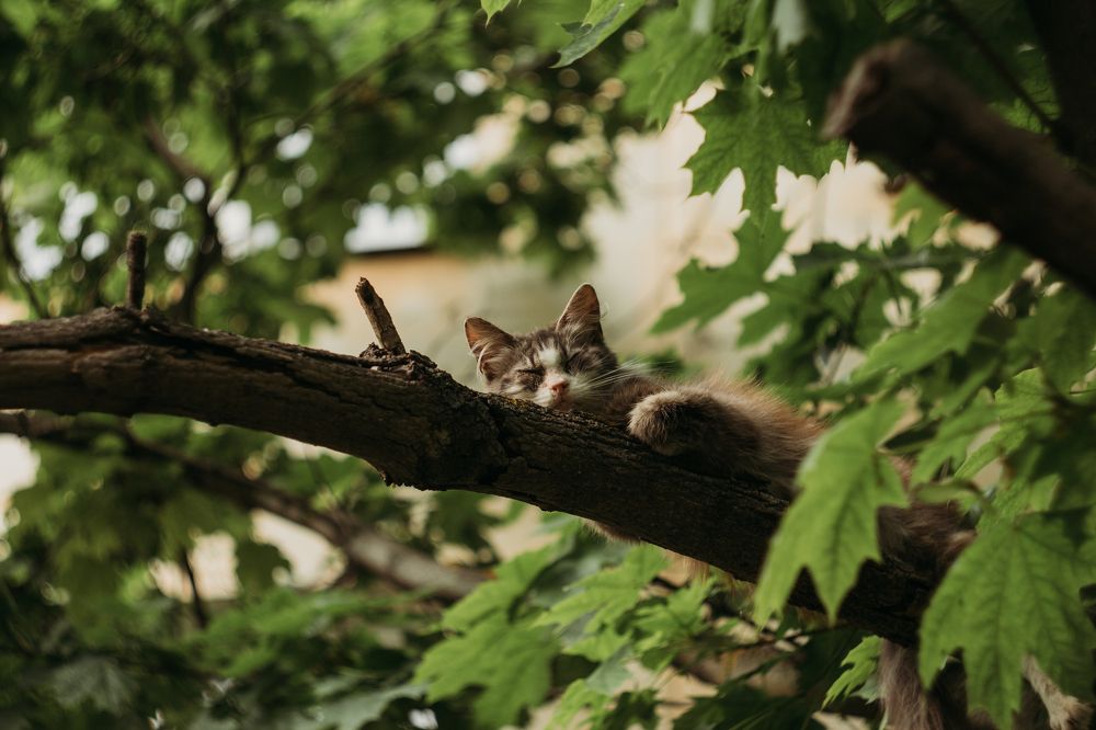 Photograph by Людмила Безуглая