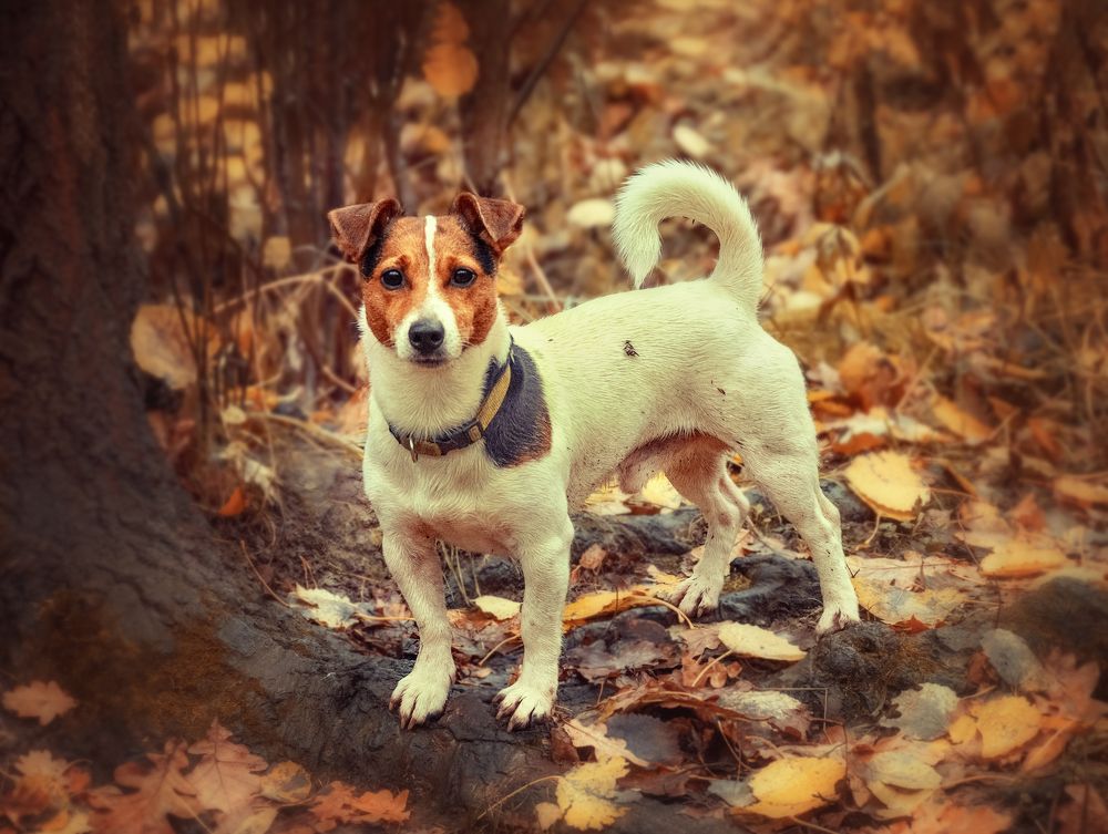 Photograph by Светлана Инькова