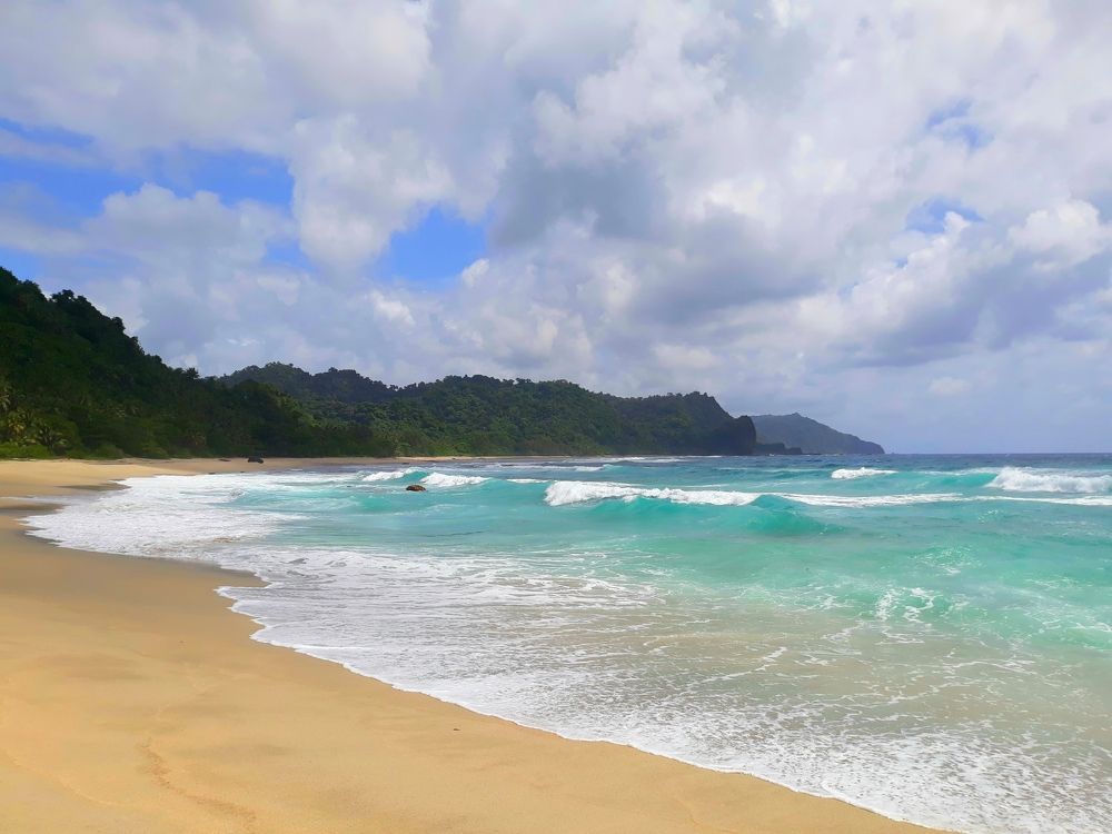 Emerald Pacific Coast