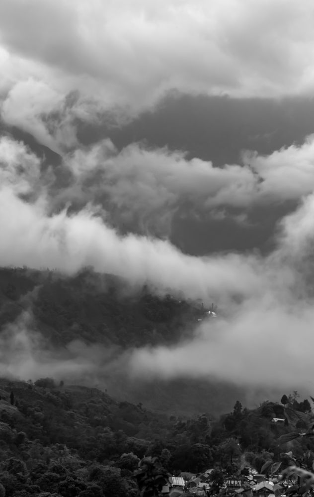 Photograph by ARANYA KAR