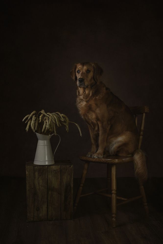 Фотография автора Natalja Bindere