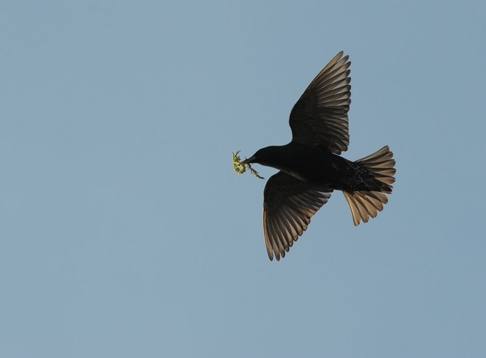 Photograph by Наталья Анисимова