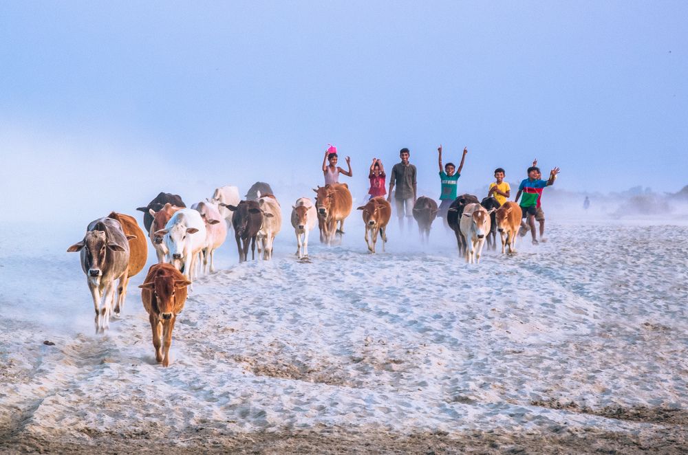 Photograph by Arka Saha