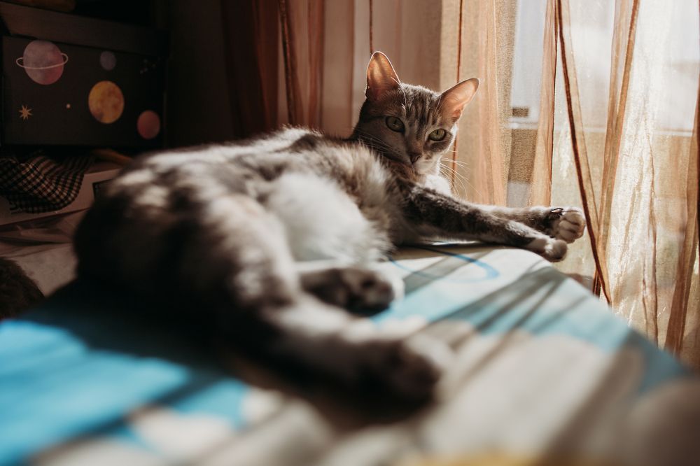 Photograph by Людмила Безуглая