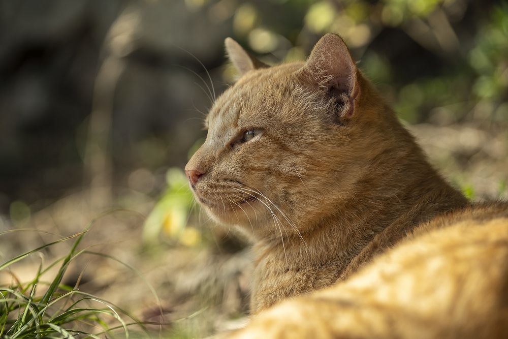 Photograph by Виктор Филипчук