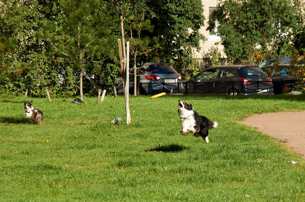 Photograph by Марина Сантарович