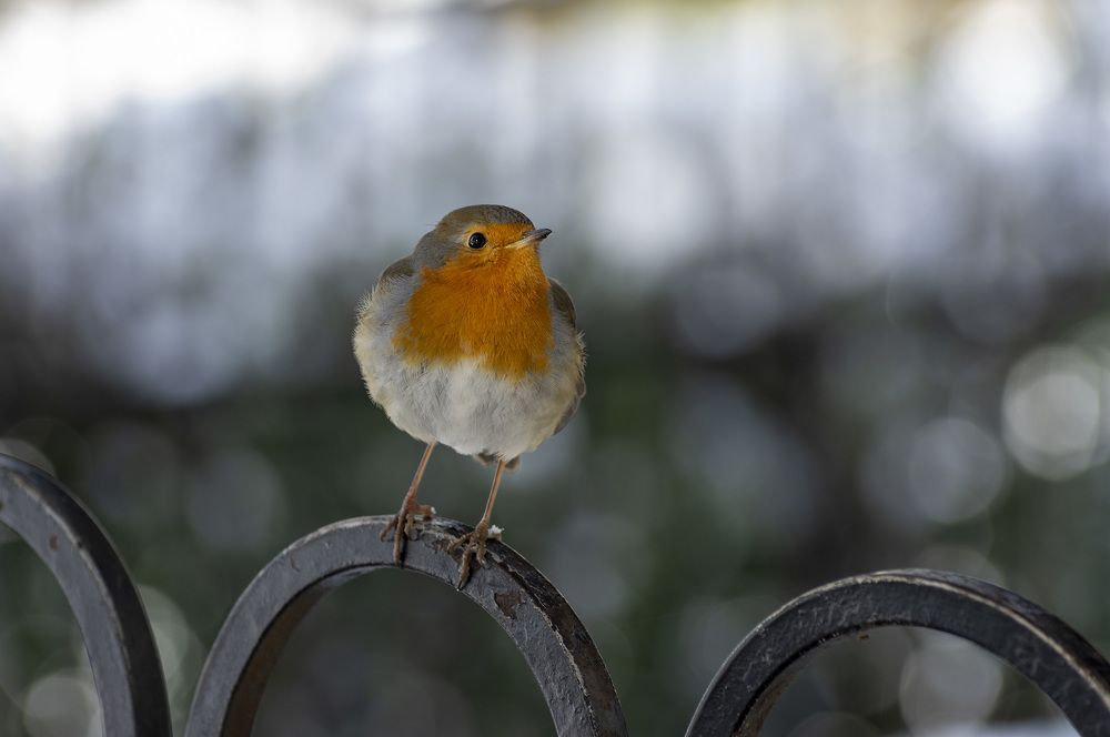 Photograph by Виктор Филипчук