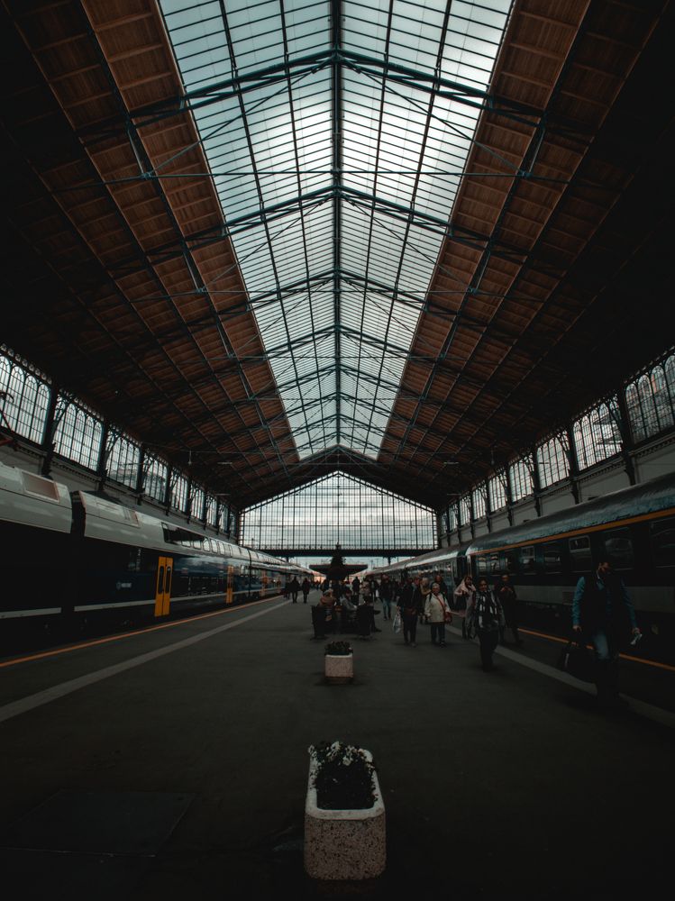 Фотография автора Amir H. Bakhtiari