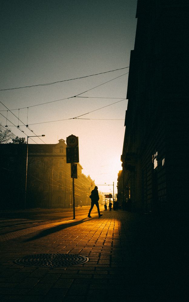 Фотография автора Amir H. Bakhtiari