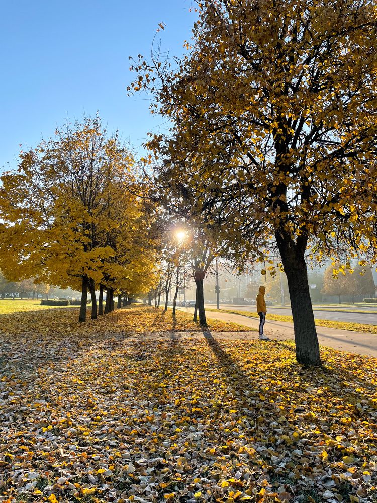 Октябрьское утро