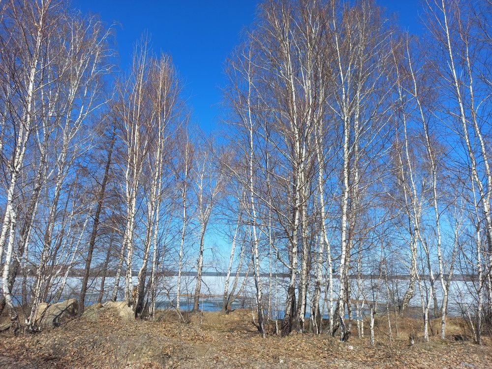 Photograph by Екатерина Пенежина