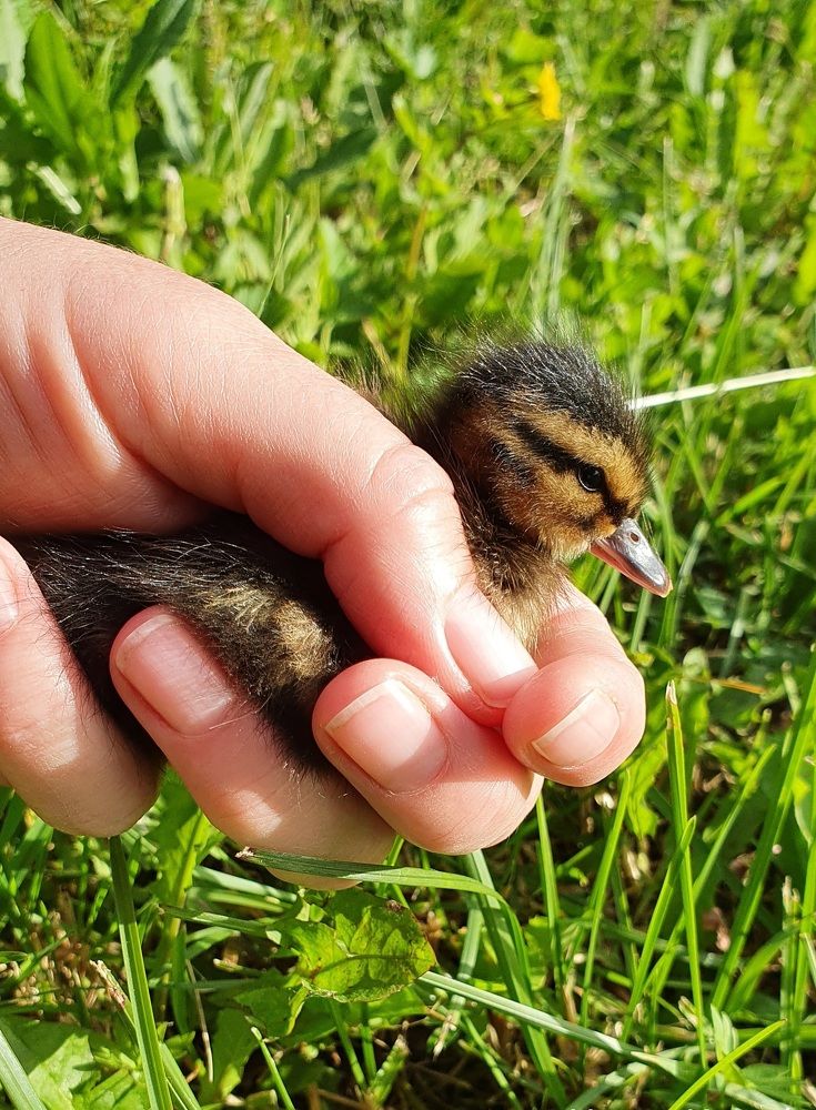 Photograph by Нина