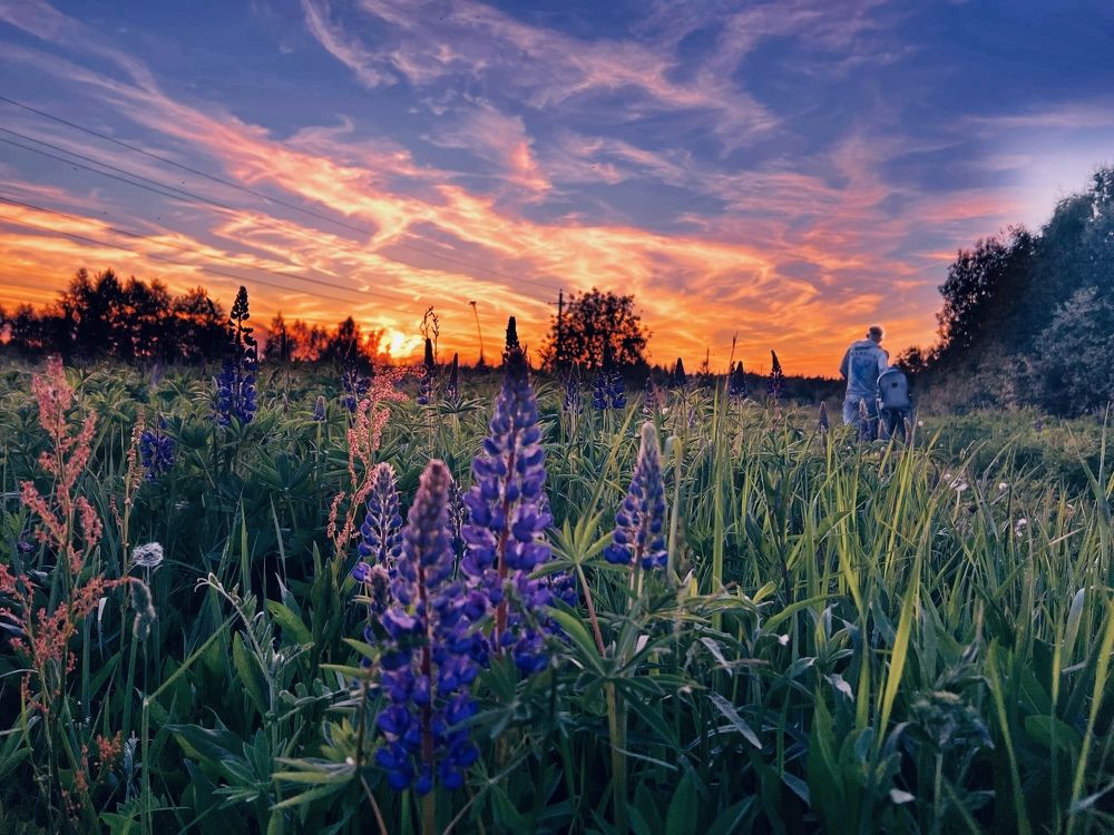 Photograph by Юлия Честнова