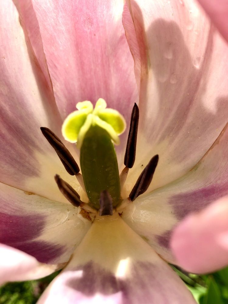 Photograph by Кравченко Юлия