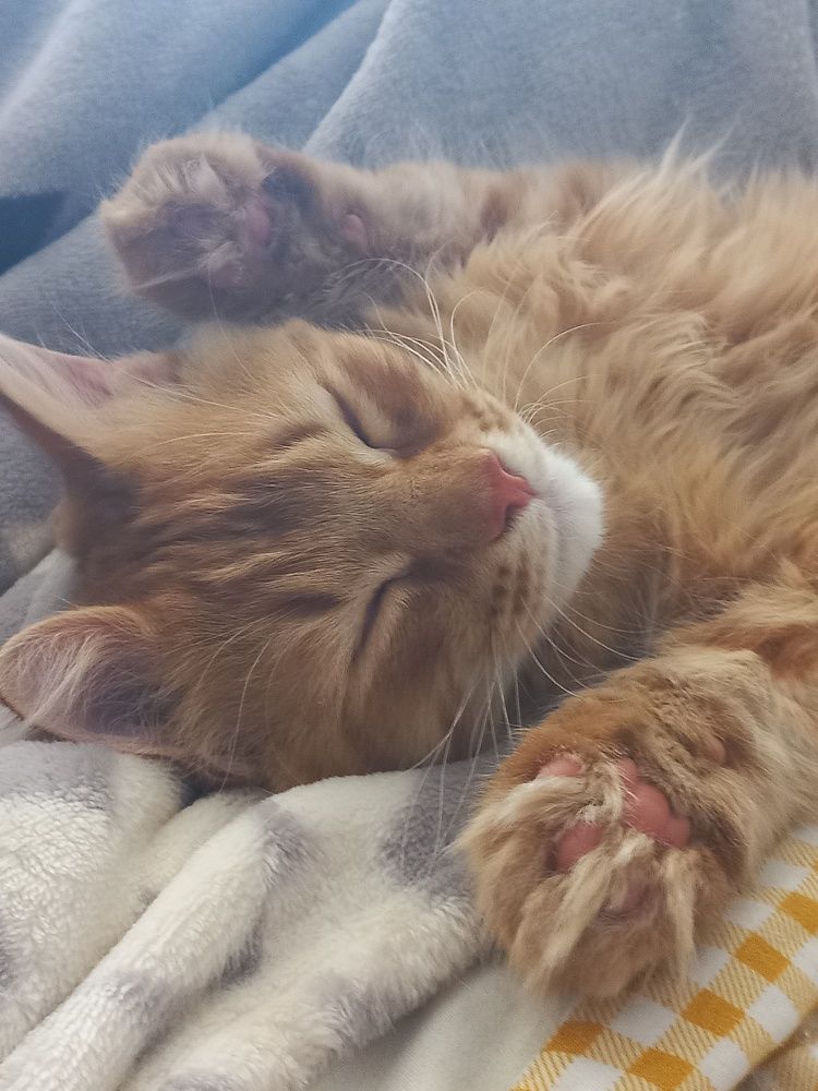 Photograph by Екатерина Пенежина