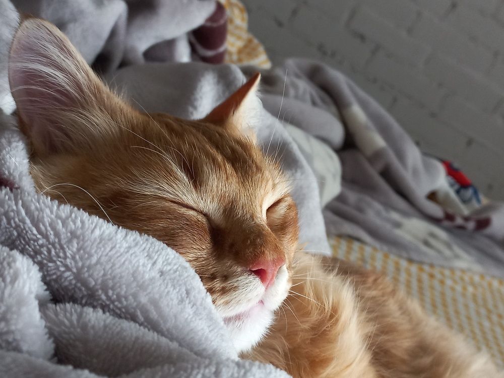 Photograph by Екатерина Пенежина