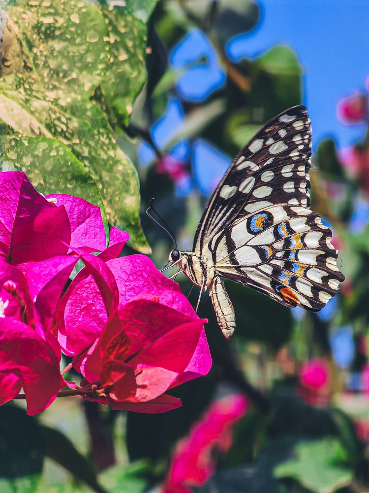 Photograph by amin roshan afshar