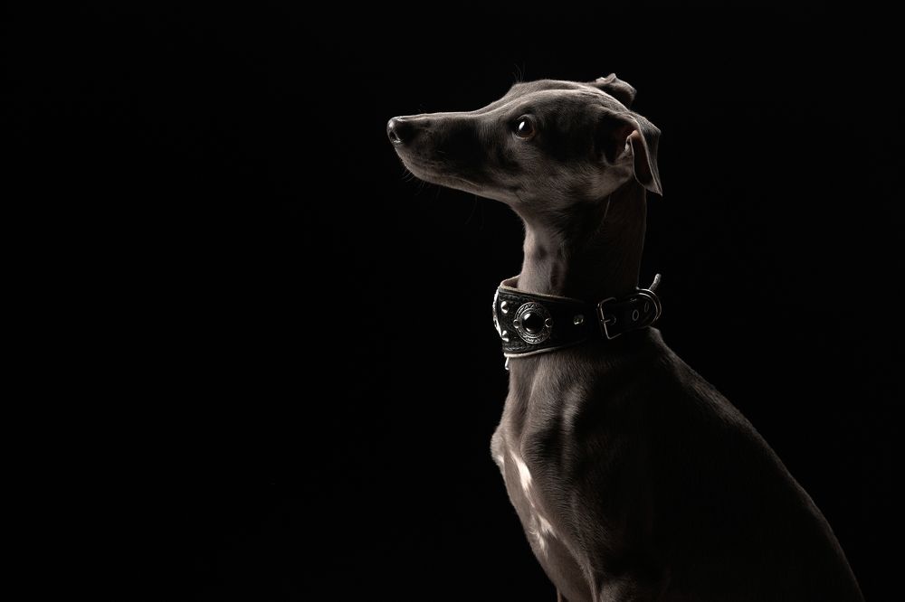 Photograph by Лана Полякова