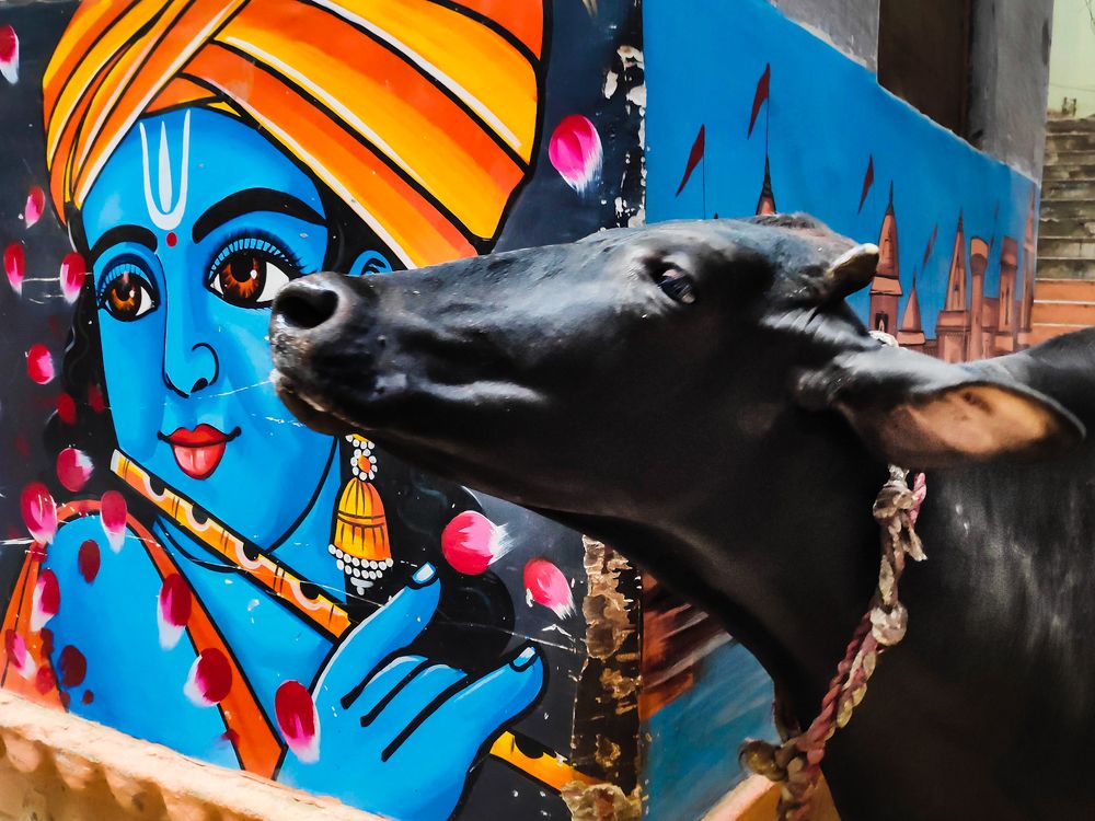 Photograph by Sanjay Hembram