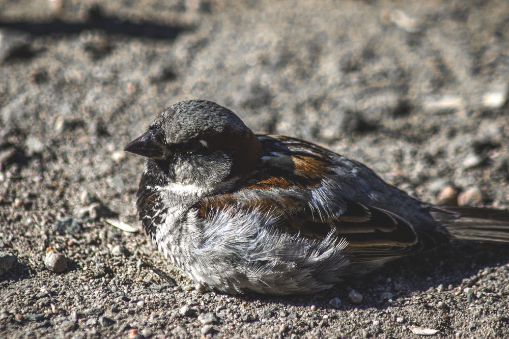 Photograph by Виктория Браун
