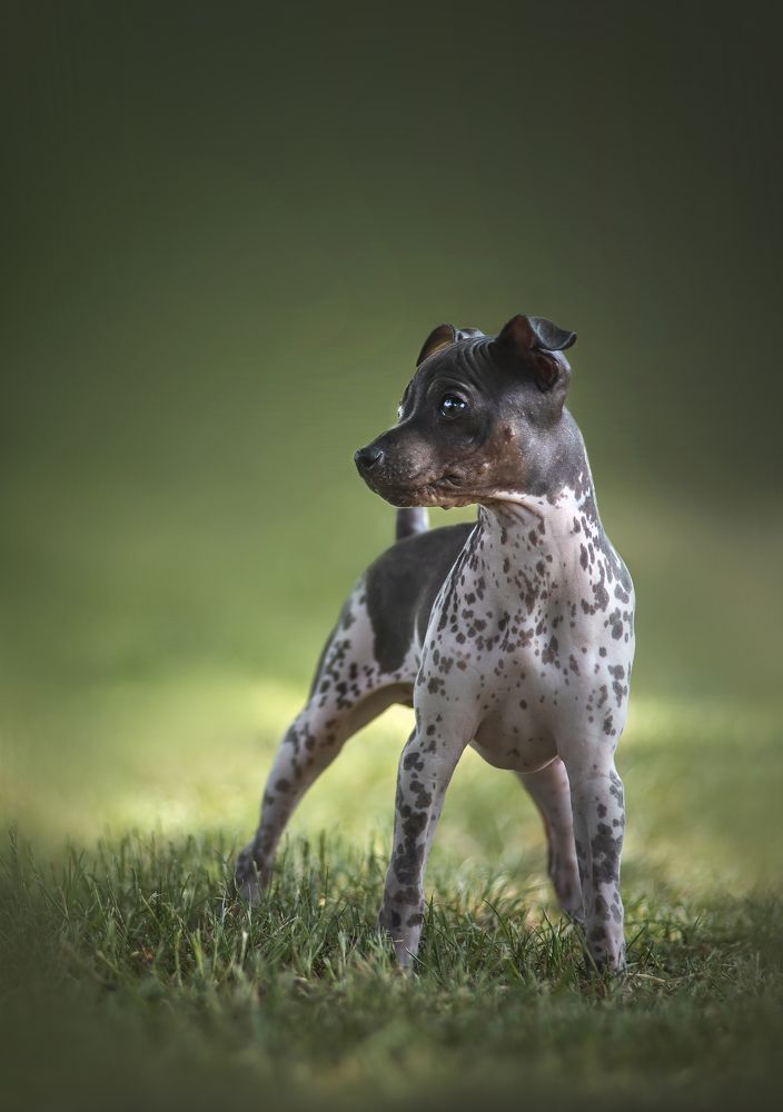 Photograph by Anastasiia Mietielieva