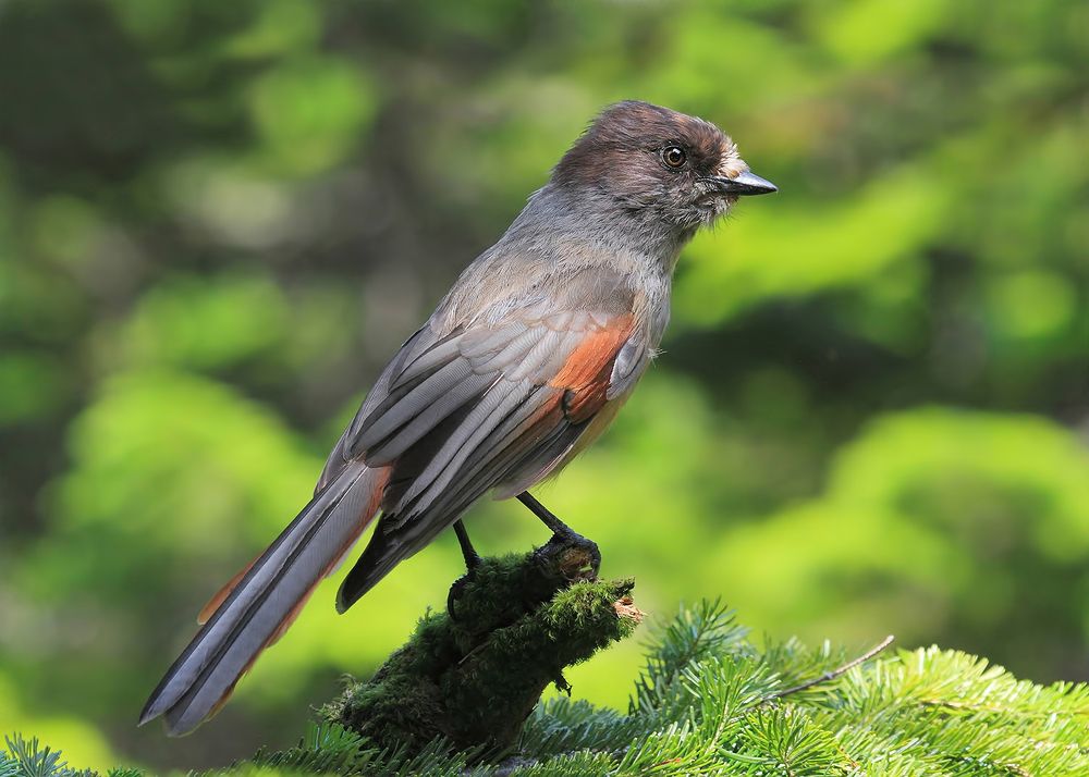 Photograph by Валерий Платонов