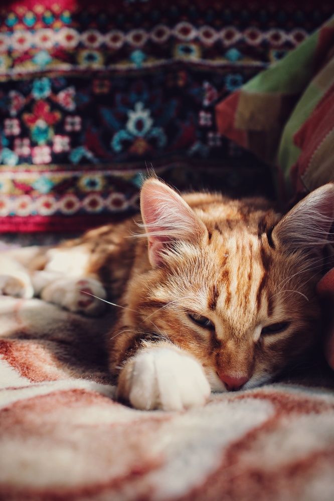 Photograph by Виктория