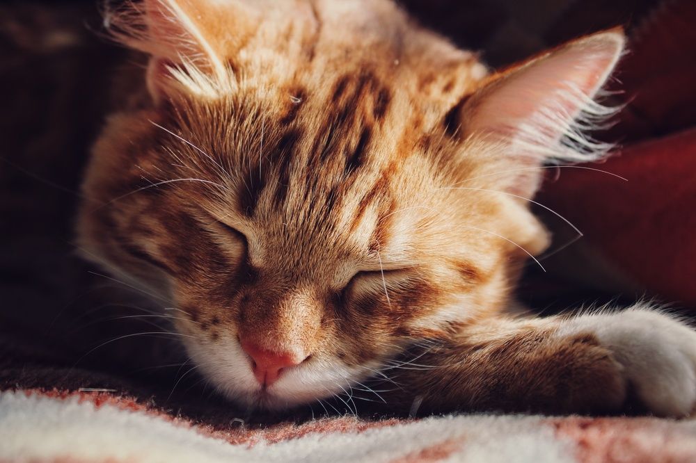 Photograph by Виктория