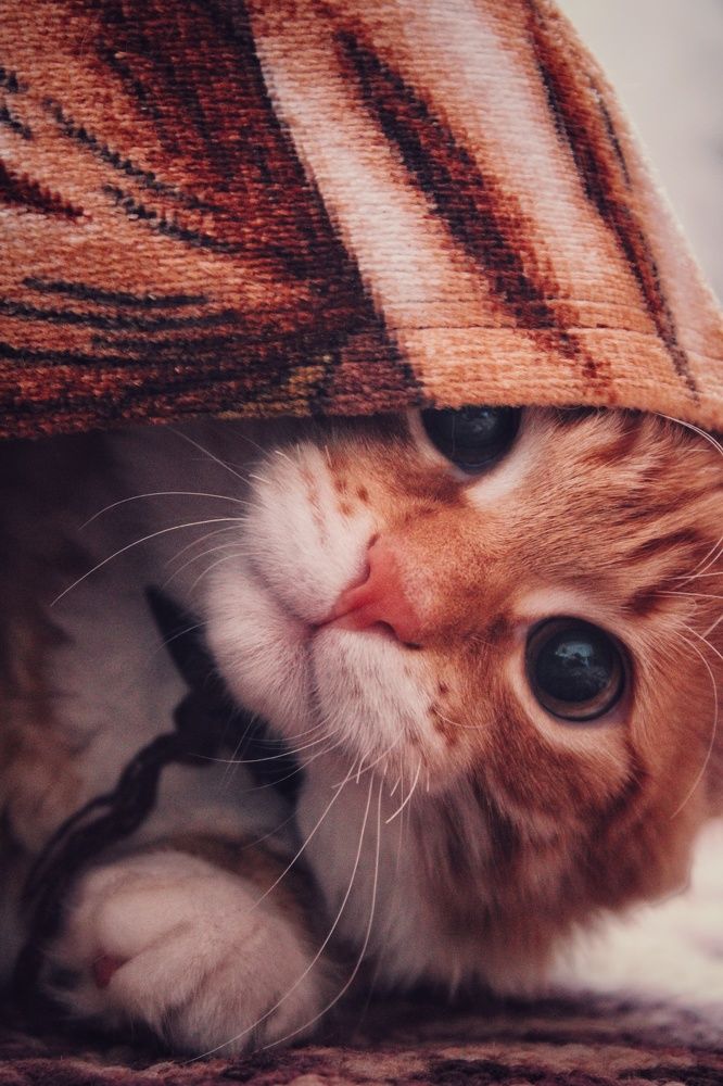 Photograph by Виктория