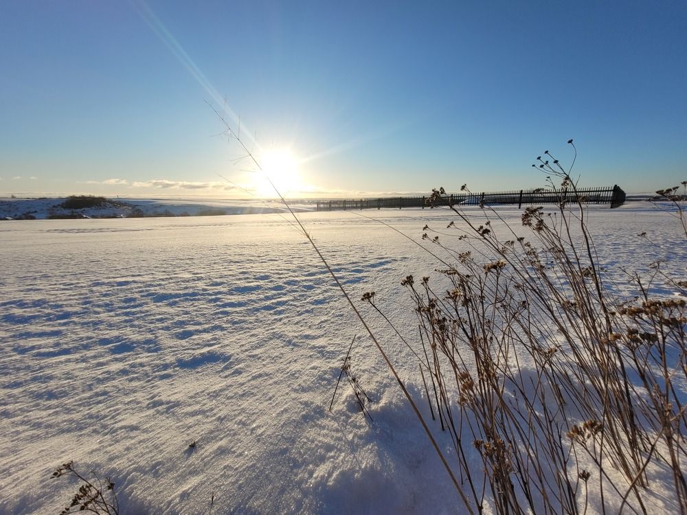 Морозный день