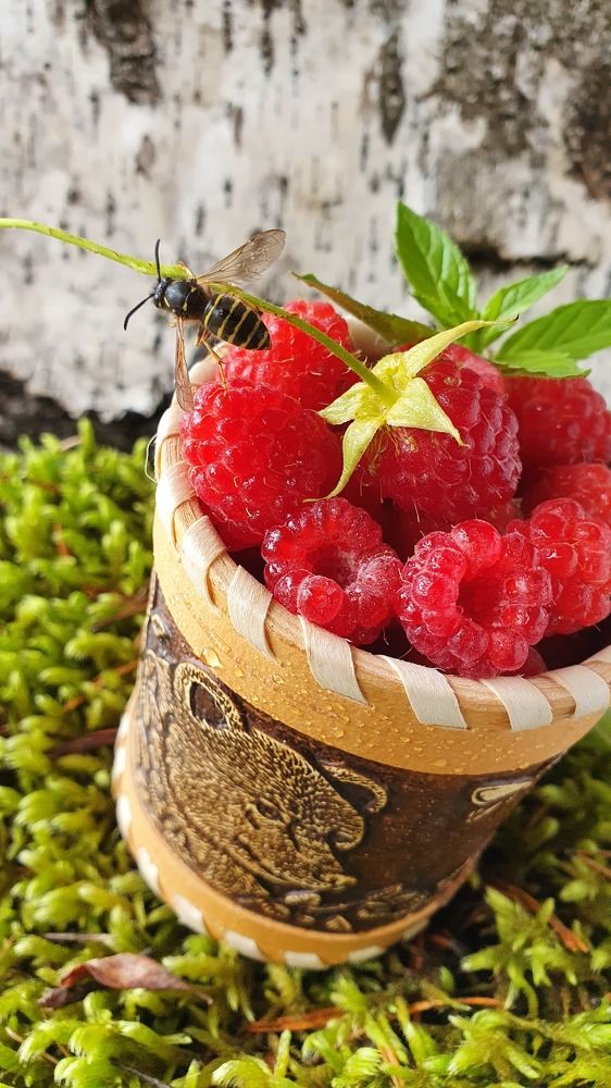 Ягода малина