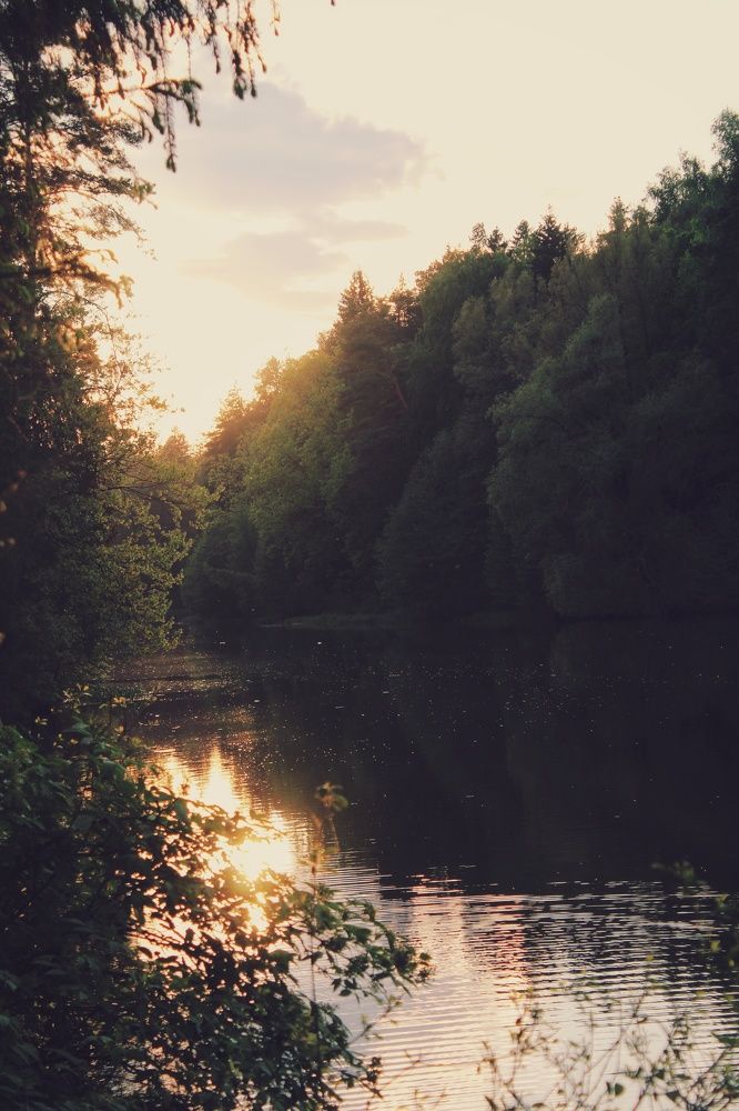 Photograph by Виктория