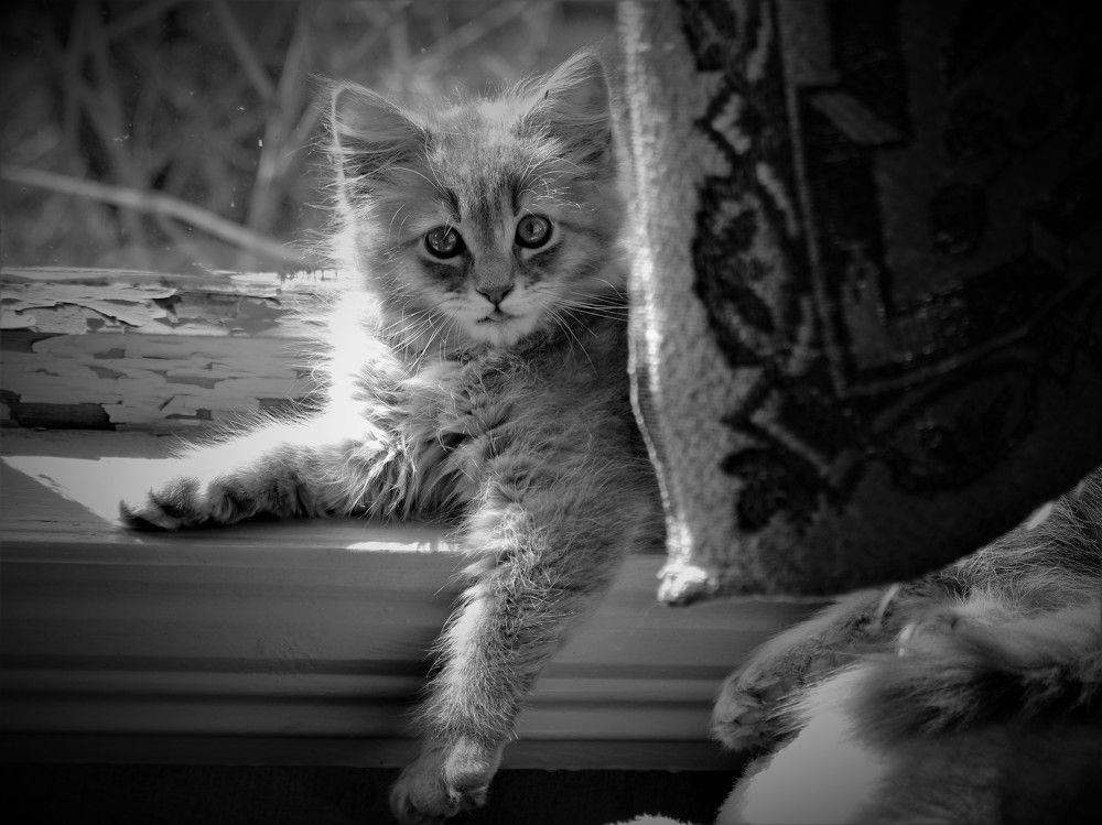 Photograph by Марина Игнатьева