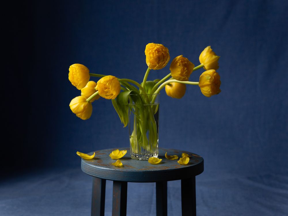 Photograph by Natalia Levenih