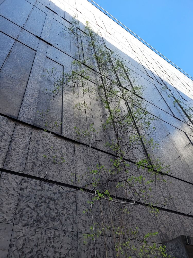 Стремящийся вверх