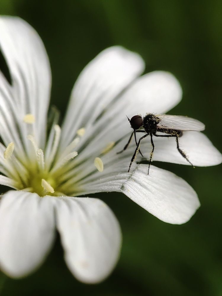 Photograph by Ольга Сучкова